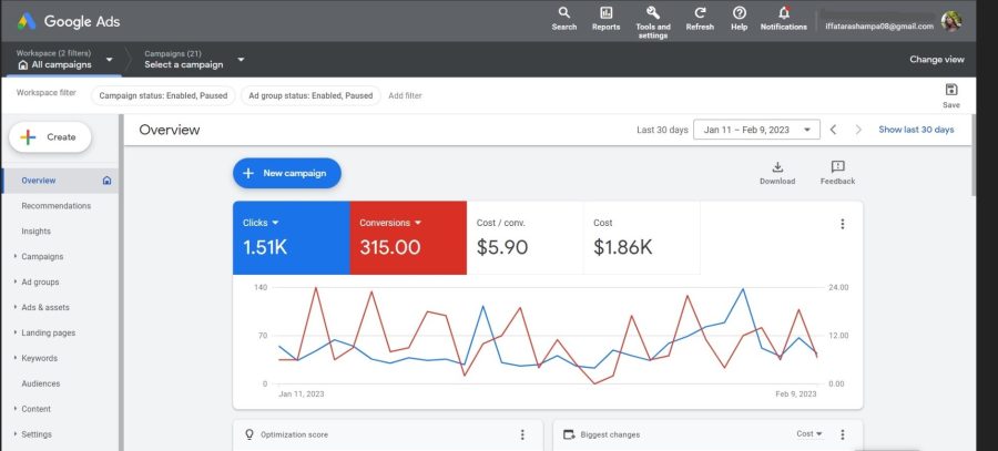 I will setup and manage your google ads PPC campaigns for your Website