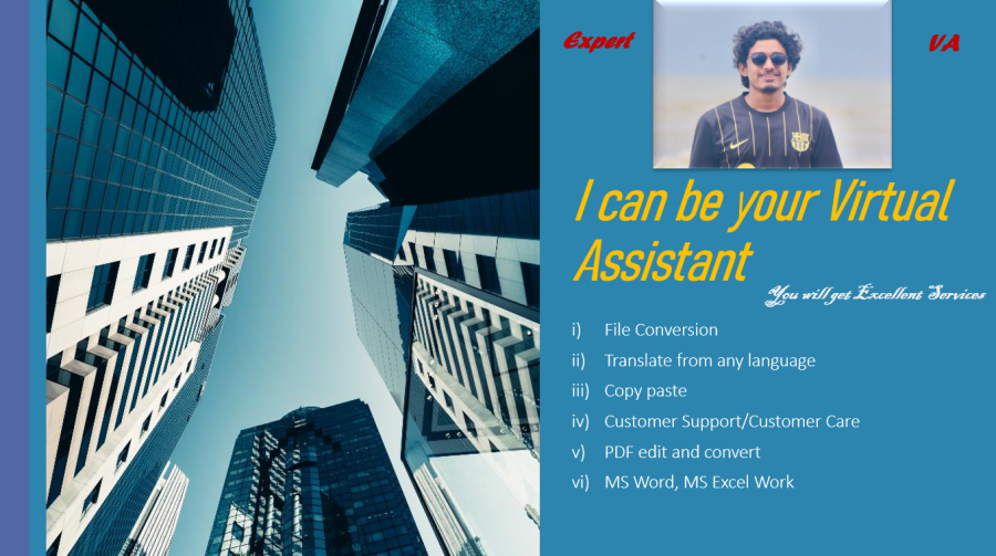 File conversion, Translation, Copy paste, Fillable pdf form, Data entry, Fast typing, Book writing