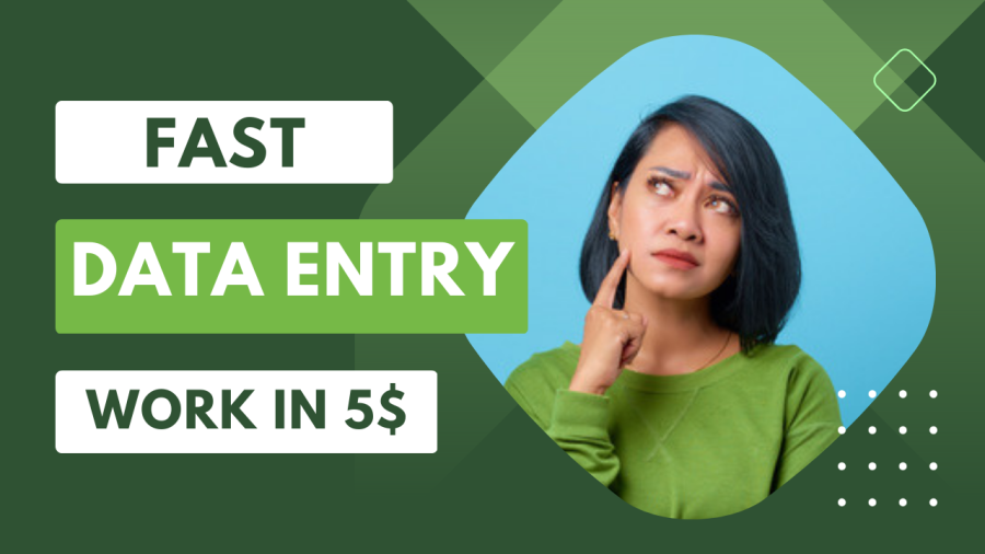 I will do excel data entry, typing, copy paste, data entry