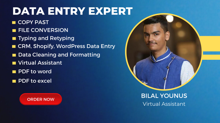 I will do excel data entry, typing, copy paste, data entry