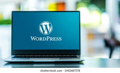 I will provide wordpress developer services