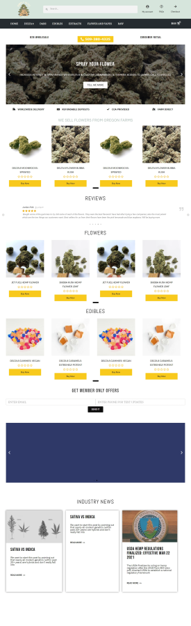 Master Your WordPress Website: Expert Customization, Optimization, and Maintenance Services