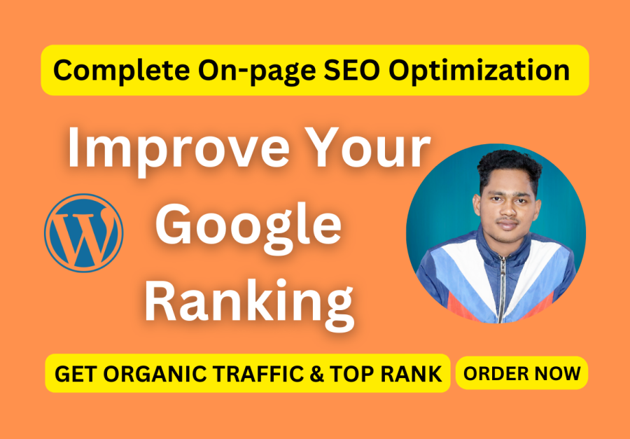 I will complete on page SEO optimization service for wordpress