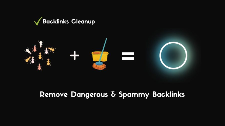 Remove Spam, Cleanup, & Manage Your Site Monthly