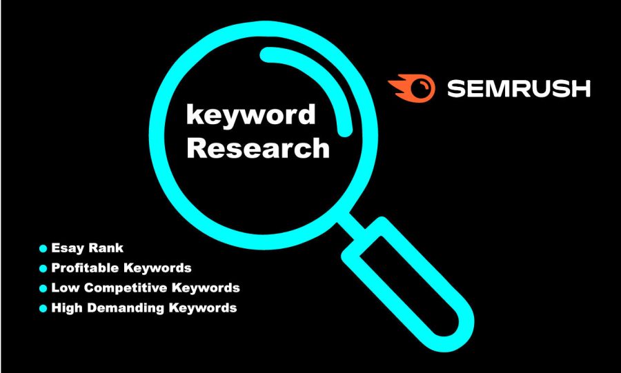 I will do best SEO in your business