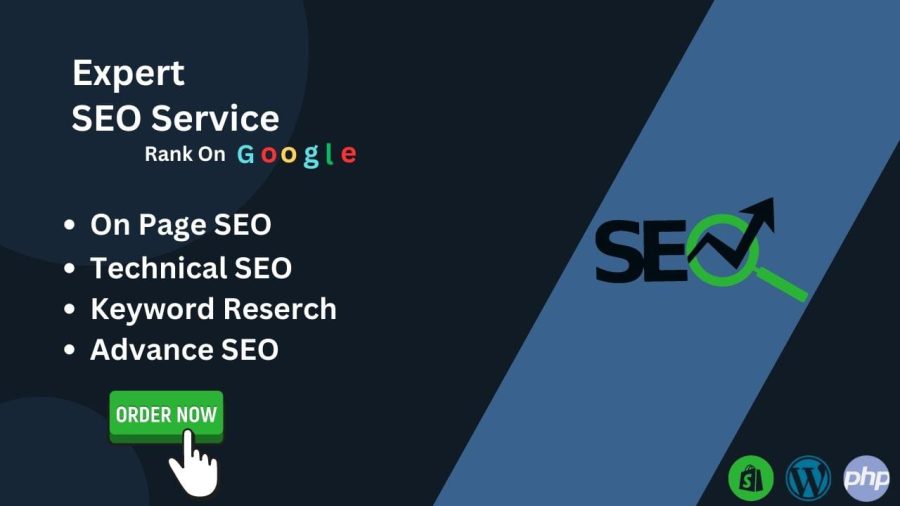 I will create a full SEO campaign for your Wordpress or php website