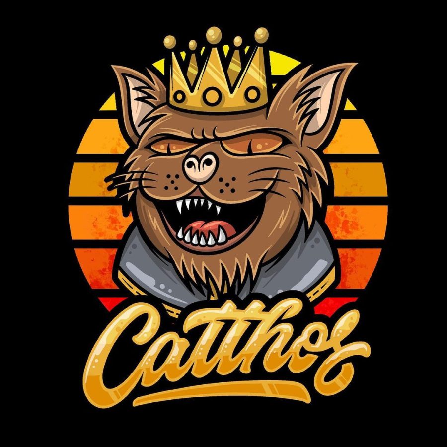 We can make a unique Logos for your new startup