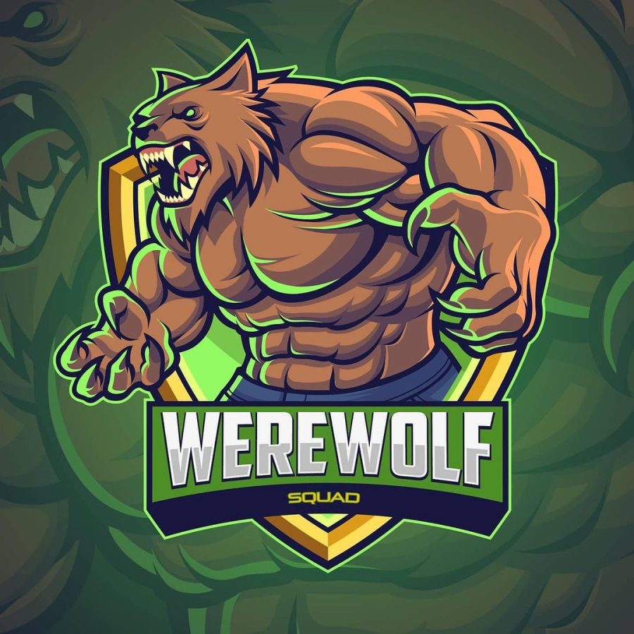 We can make a unique Logos for your new startup