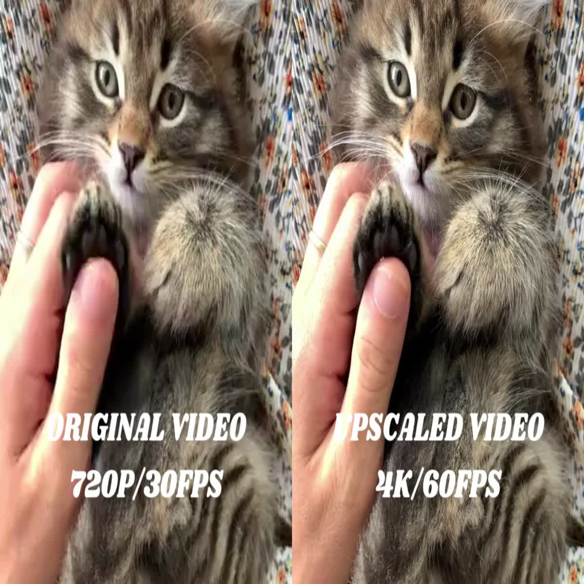 I will upscale your video up to 4k 60fps, increase quality, enhance, sharpen