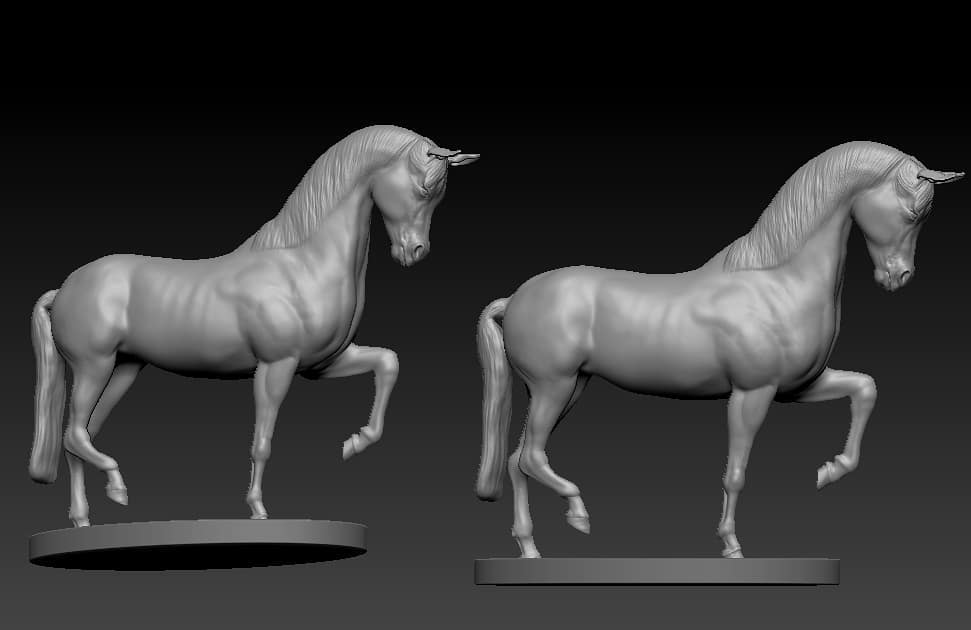 I will do 3d animal model, realistic model, 3d design 3d animation texturing 3d rigging