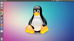 I support Linux and Network support, so you give one chance then I give good service 