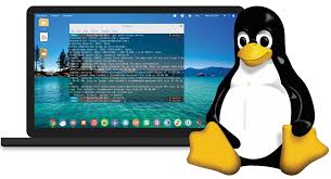I support Linux and Network support, so you give one chance then I give good service 