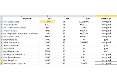 Advanced SEO keyword research for your website or business and competitor analysis.