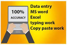 Professional Data Entry Services: Fast, Accurate Typing, Copy-Pasting, Word, and Excel Expert