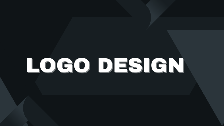 I will design a unique and professional logo for your brand and company