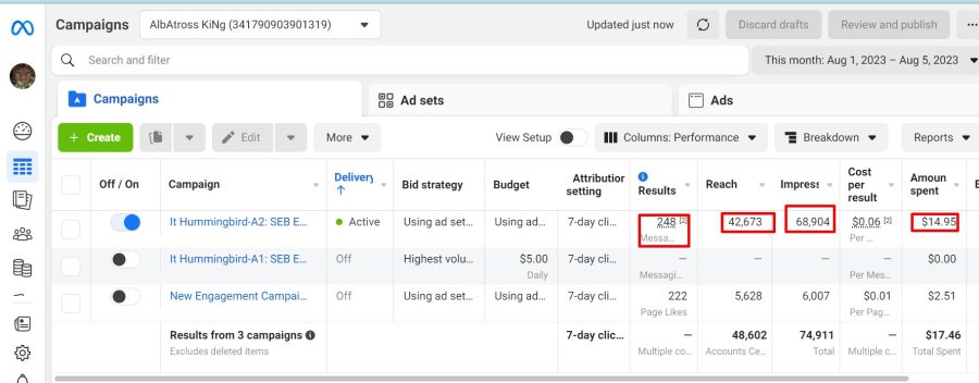I will setup any profitable ADS campaign for your business