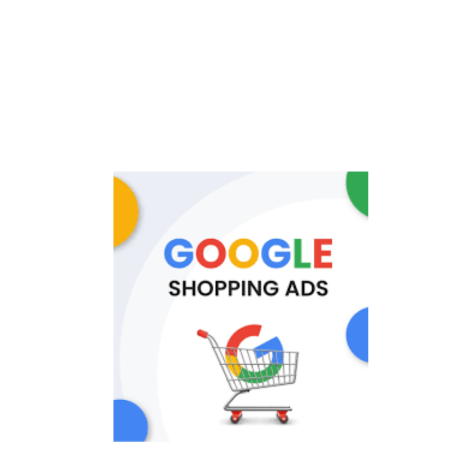 Your high converted Google Shopping ads Optimization Expert for your any Ecommerce store