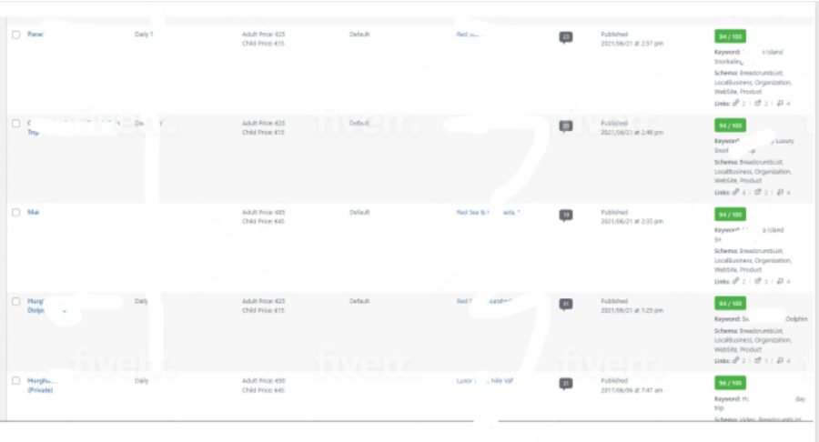I will do website on page SEO and technical optimization service of WordPress.