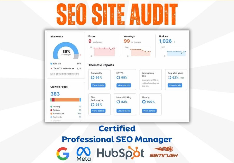 Provide a Professional SEO audit with pro recommendations
