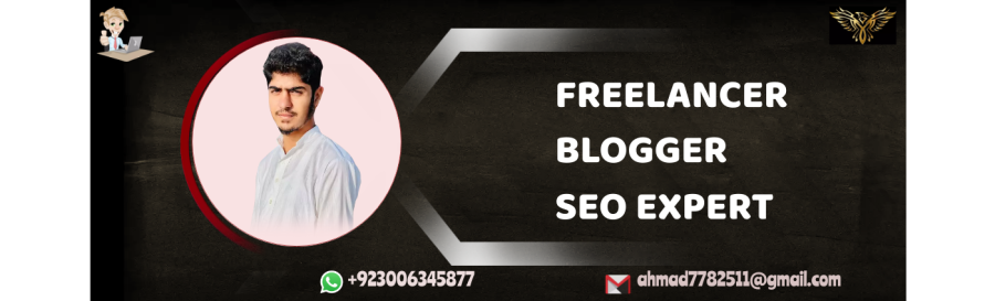 I will write SEO Optimized articles and Blog post upto 1500 words