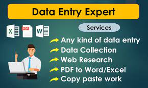 I will do Data Entry, Typing, Retyping, Copy and Paste work - Low price, accurate and quick delivery