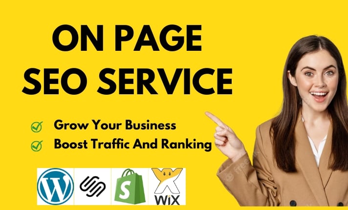 Professional On-Page SEO GEO AEO Expert for WordPress, Shopify, Wix, and Squarespace
