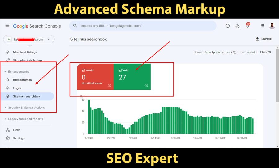 I will implement schema markup to your website in an advanced way