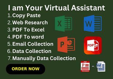 Virtual assistant for data entry Excel, copy paste, Word, PDF