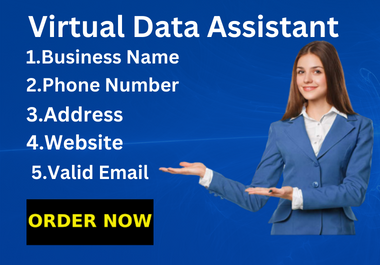 I will be your virtual assistant for data entry excel, copy paste assistant