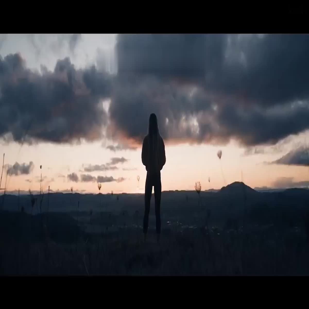I will create unique brand commercial video or promotional marketing video ad