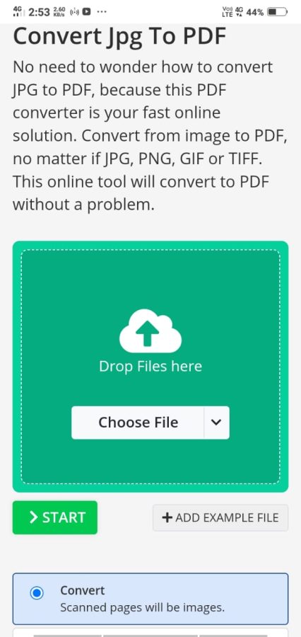 The PDF is generated using the pdf-lib library, which is included via a local script file 