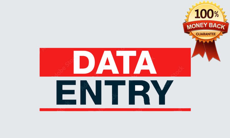 I will do Fast and Accurate Data Entry, copy paste, pdf editor Services for you.
