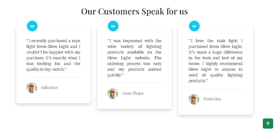 I will design and develop the responsive Bussiness/e-commerce wordpress Website 