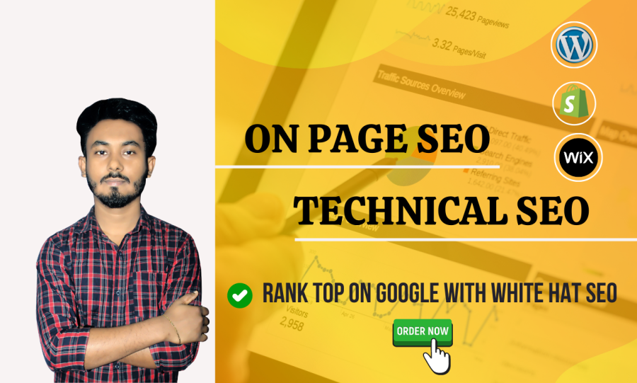 I will do on page SEO and technical service for wordpress, shopify, wix websites