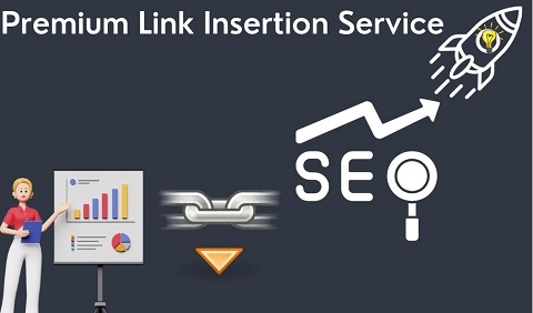 Skyrocket Your Online Presence: Elevate Your Brand with Our Premium Link Insertion Service