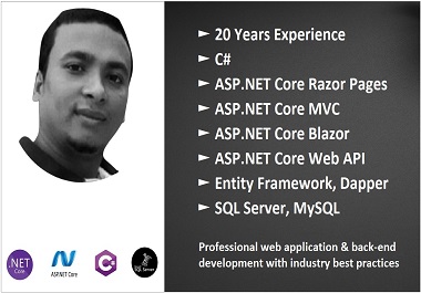 I will build ASP.NET Core app with MVC, Razor Pages, Web API, C-Sharp, EF, MSSQL