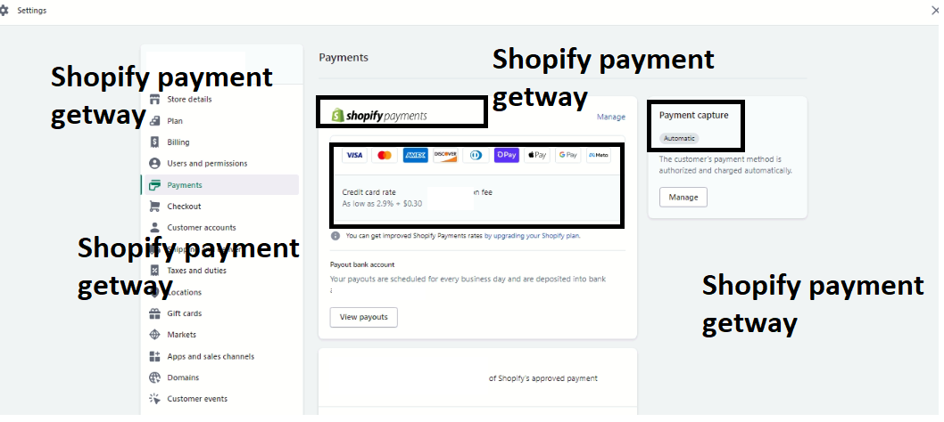 professional shopify store creation