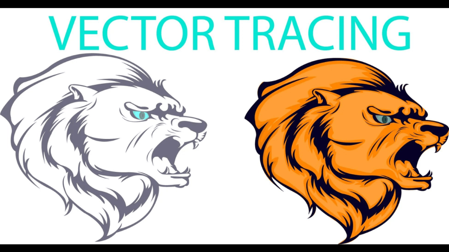 I will vector trace, vectorize, convert logo to vectorize