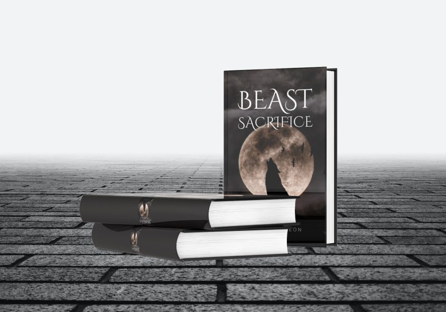 i will design professional book cover and convert ebook