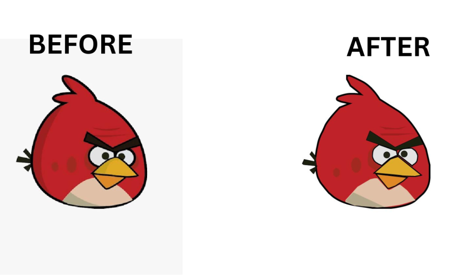 I will do logo image convert into vector Tracing on illustrator