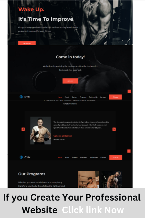 I will create WordPress website or business website within 12 hours
