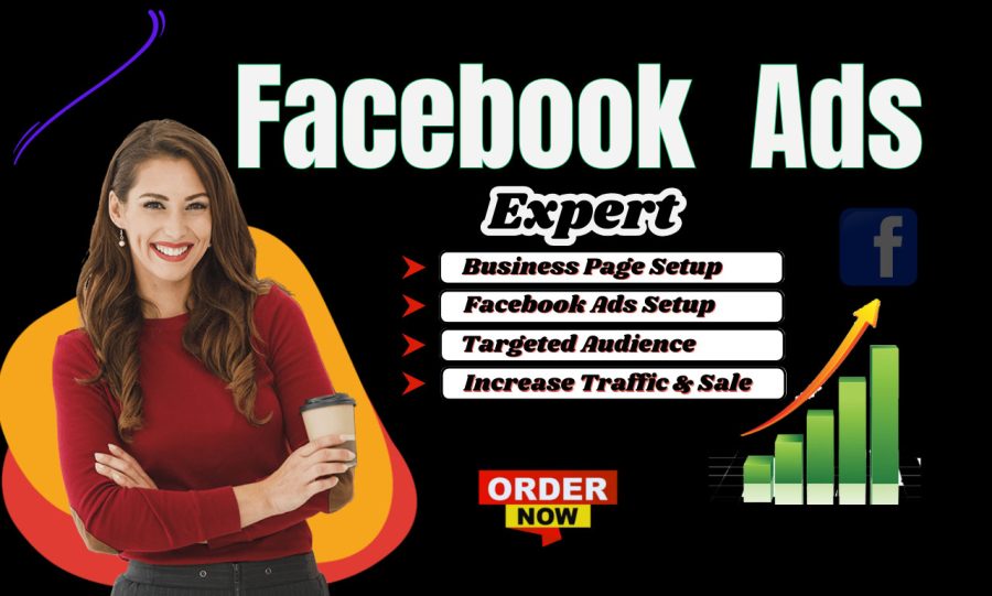  I will do your facebook and instagram ads campaign