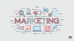  SEO audit report with competitor analysis