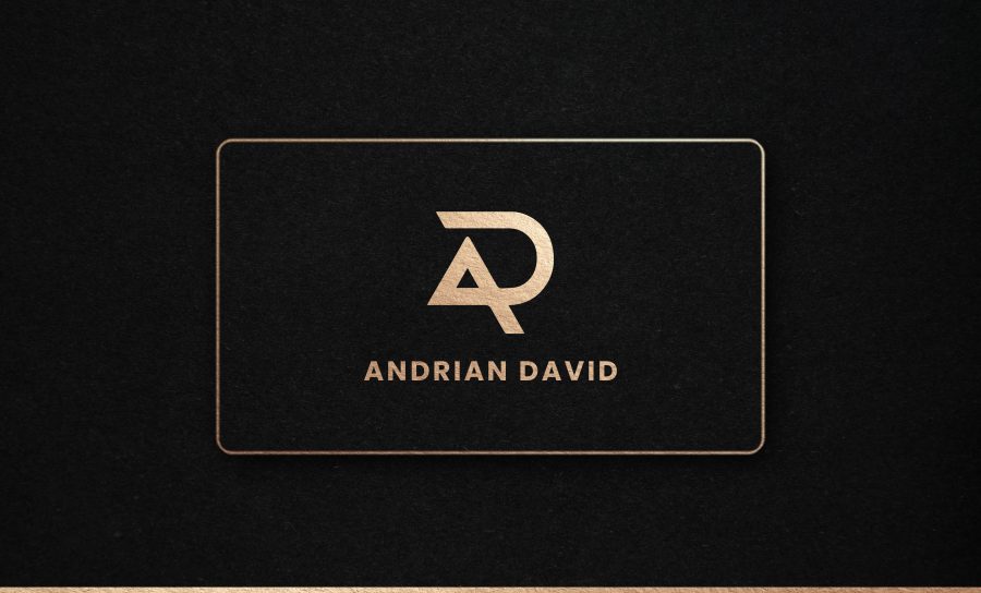 I will do minimalist luxury business logo design