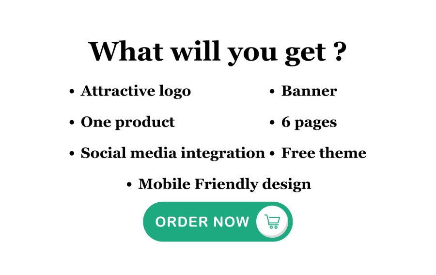 I will create single product shopify store, dropshipping store