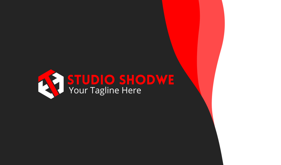 I Will Design Professional and Unique Business Card and Logo Design in 24hours