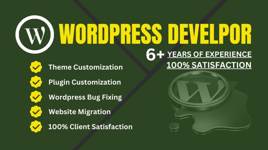 I will fix wordpress error, php errors, issues and customization