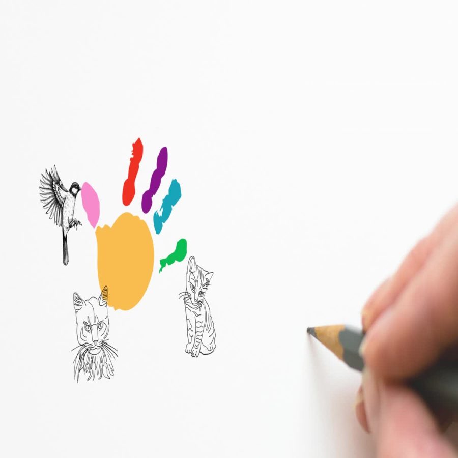 I will design professional coloring sketchbooks and notebook for you