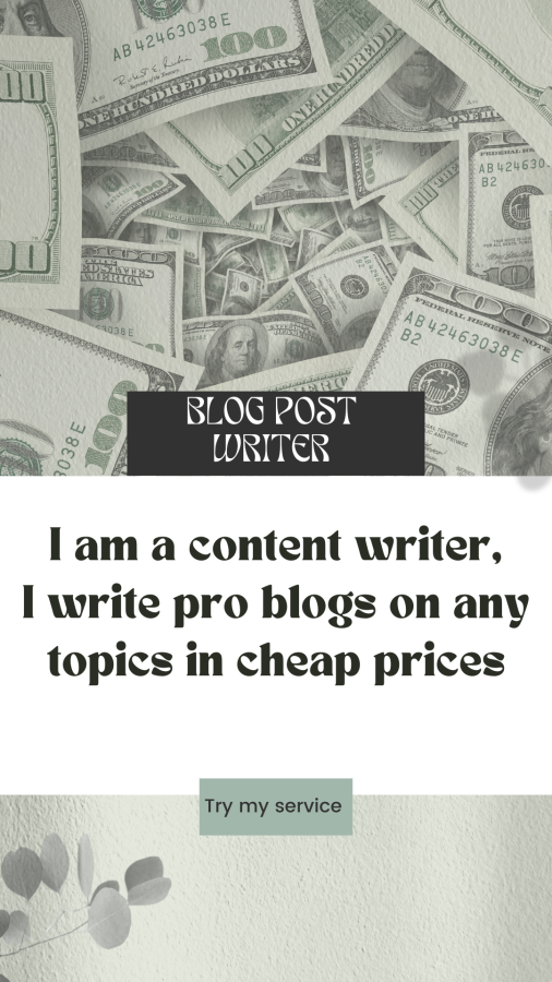 I am professional blog or content writer 