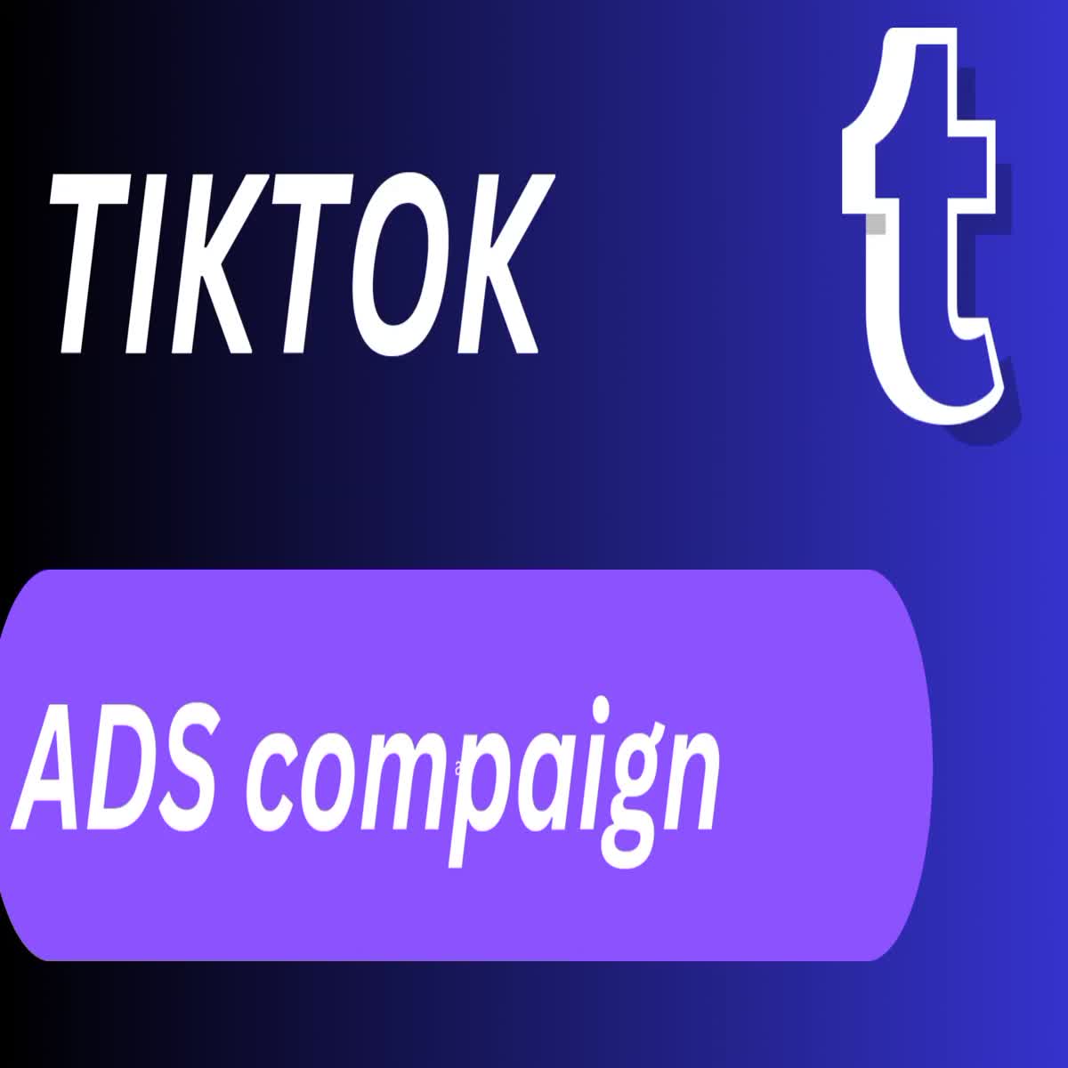 I will run successful tik tok ads campaign, tik tok ads manager, Tiktok advertising